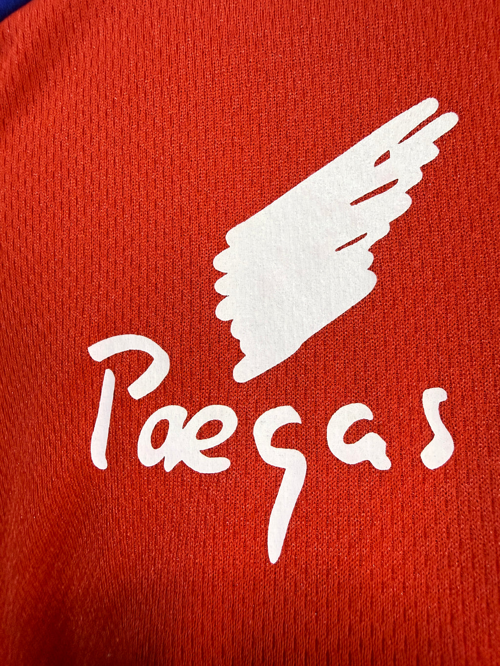 Czech Republic 2000/01–2001/02 Puma PRO Home Shirt – Paegas – Large