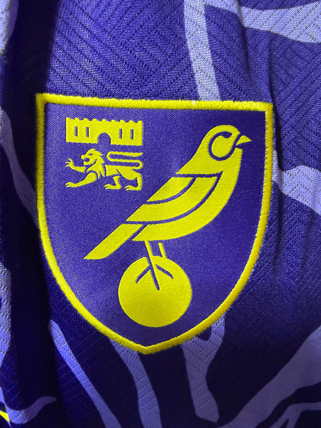 Norwich City 2023/24 “Cabbage Shirt” Third Shirt – Joma – 5XL