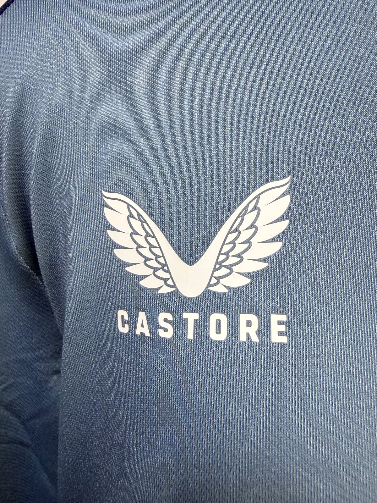 Aston Villa Castore ¼ Zip Training Top – Light Blue – Size Large – BNWT